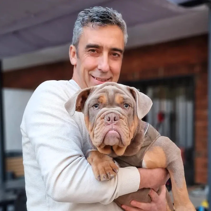 guardería canina de día para perros en Marbella