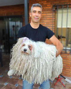 alojamiento-guardería-hotel-mascotas-Marbella