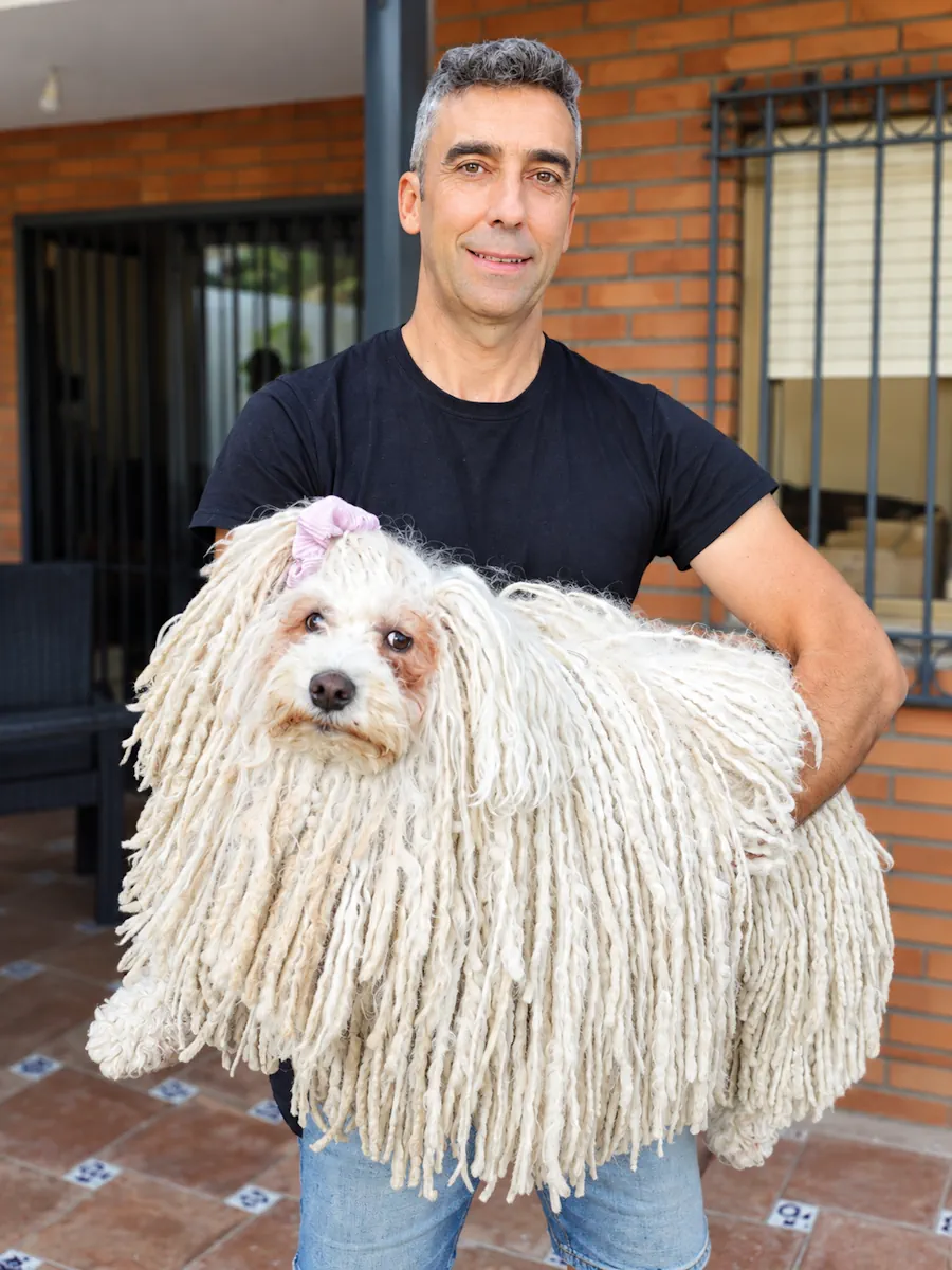 Hotel para perros y Guardería canina en Marbella