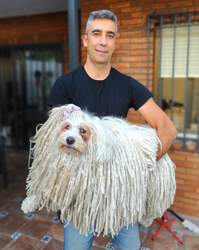 alojamiento-guardería-hotel-mascotas-Marbella