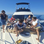 Paseo en barco con perros en Marbella