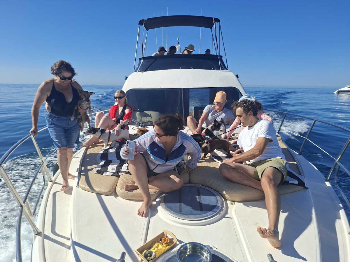 Paseo en barco con perros en Marbella