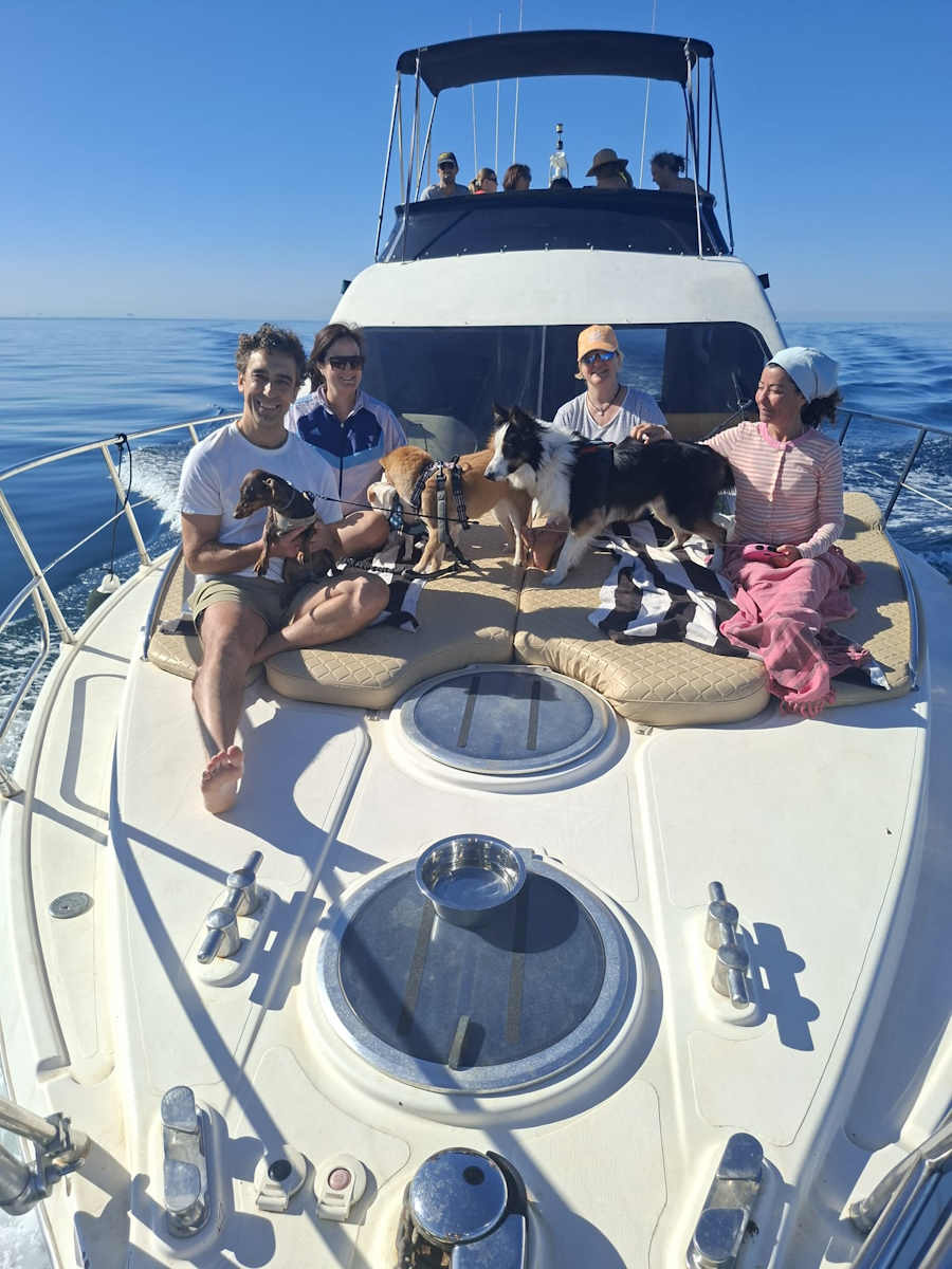 Navegando en barco con perros