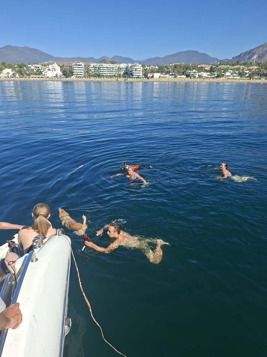 Nadando con los perros desde el barco en Marbella
