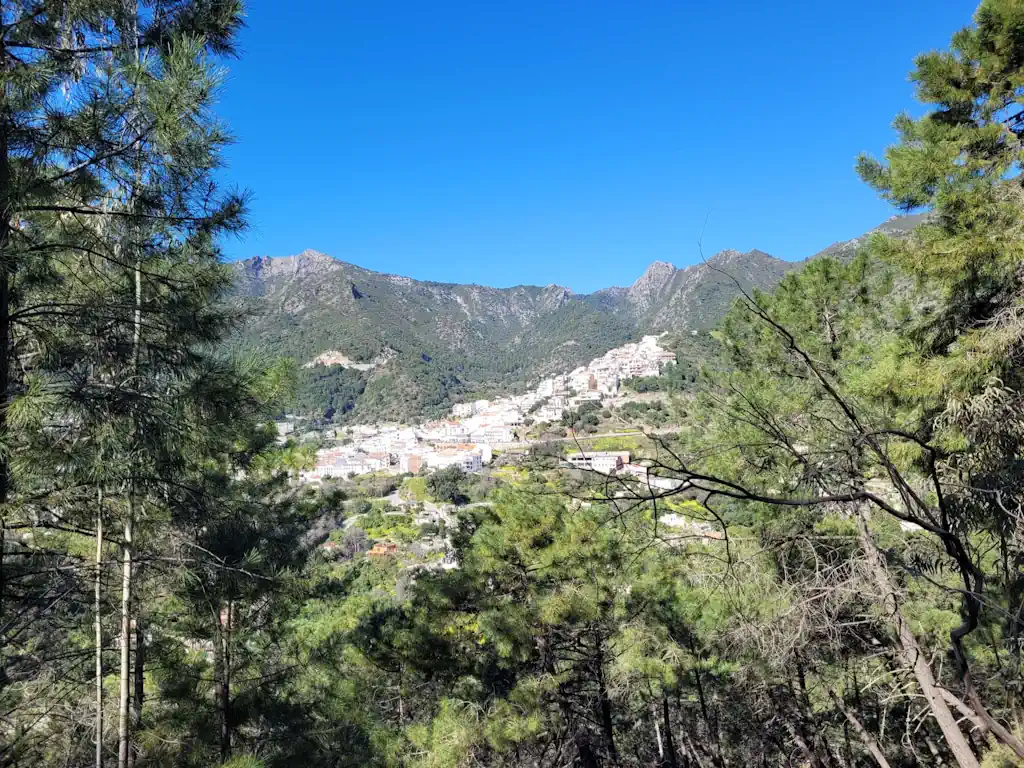 Senderismo-perros-Ojén-Marbella