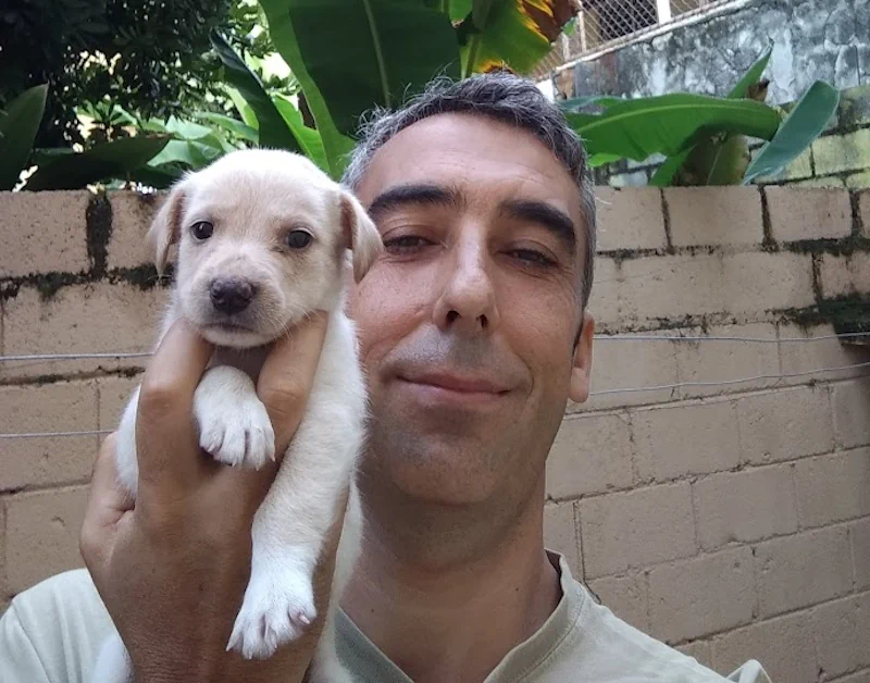 Boni-historias de guardería canina