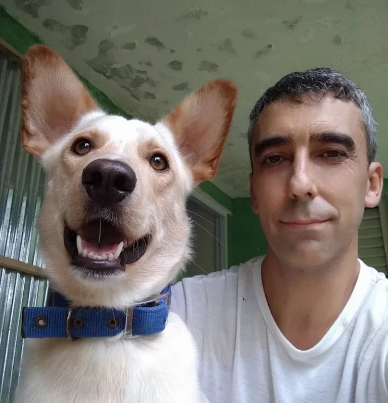 Top 10 – Las mejores razones para tener un perro