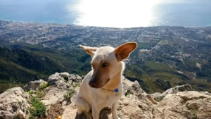Vistas desde el Pico de la Concha