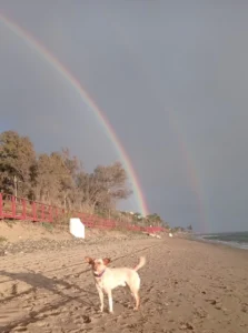 Playa Canina de Marbella