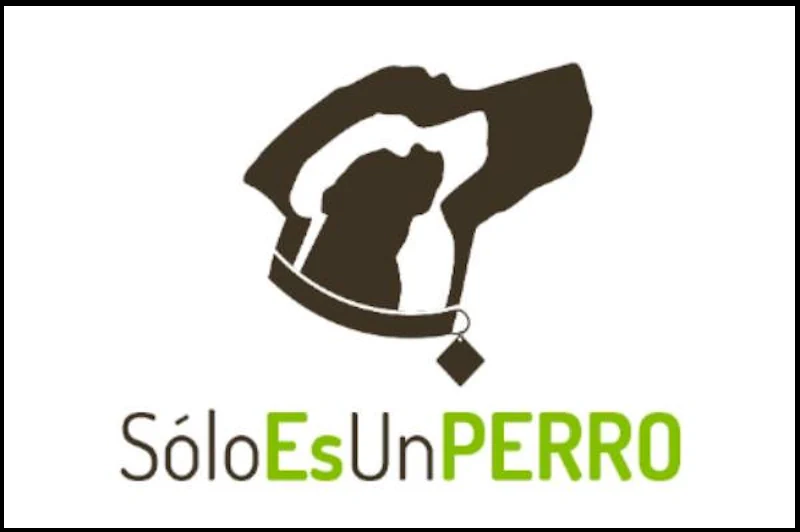 Hotel-canino-solo es un perro
