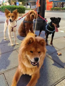 Lily con varios amigos