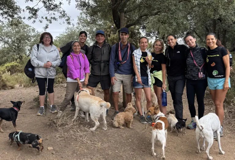 Octubre/2025 – Jornada Senderismo con perros: ruta Refugio Juanar – Pico de la Concha