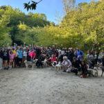 Senderismo canino en Marbella - Ruta Juanar - Miradores Cabra y Corzo