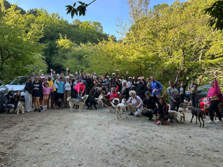 Octubre/2026: Jornada de senderismo canino: ruta Juanar – Miradores de la Cabra y Corzo
