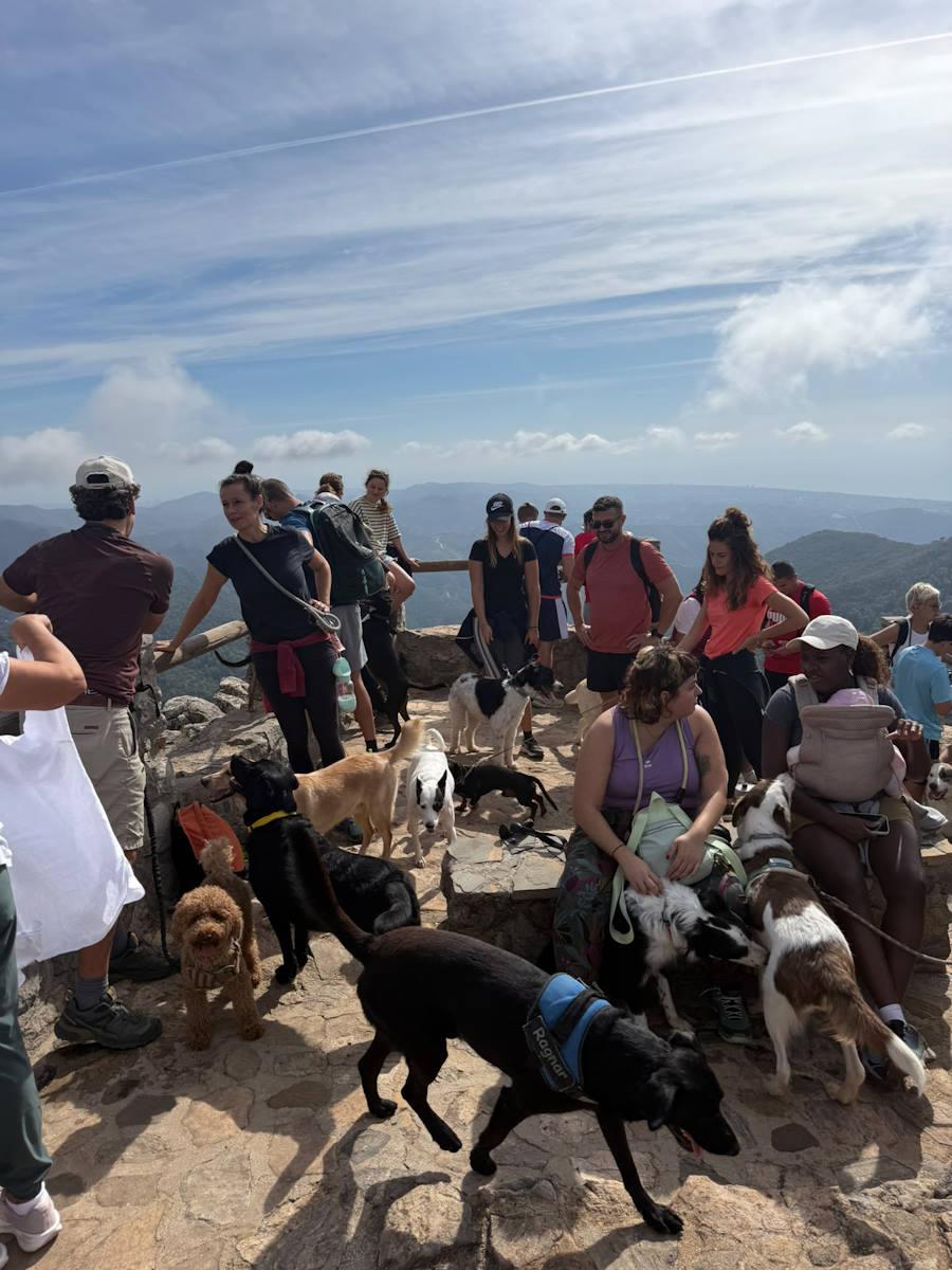 Senderismo canino en Marbella - Ruta Juanar - Miradores Cabra y Corzo