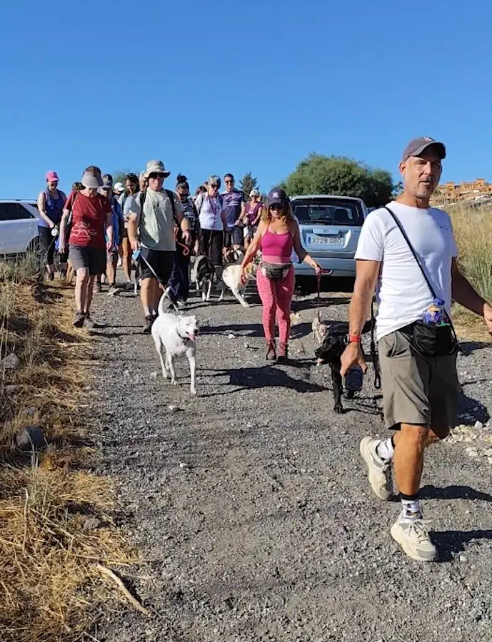 Senderismo canino por la Acequia del Guadalmina en Benahavís