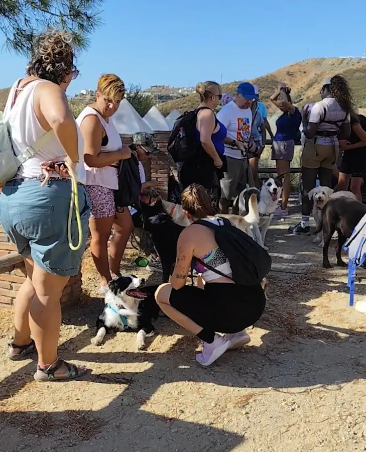 Grupo de senderismo canino junto a la Acequia del Guadalmina