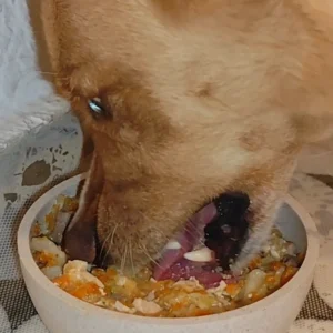 alimento comida natural mascotas - cerdo