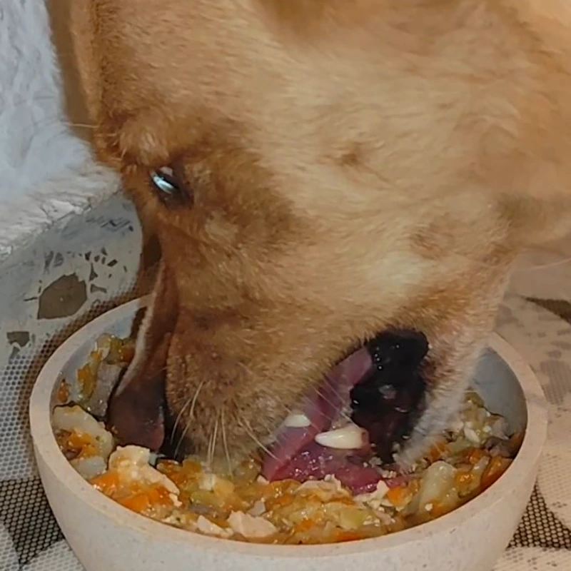 alimento comida natural mascotas - cerdo