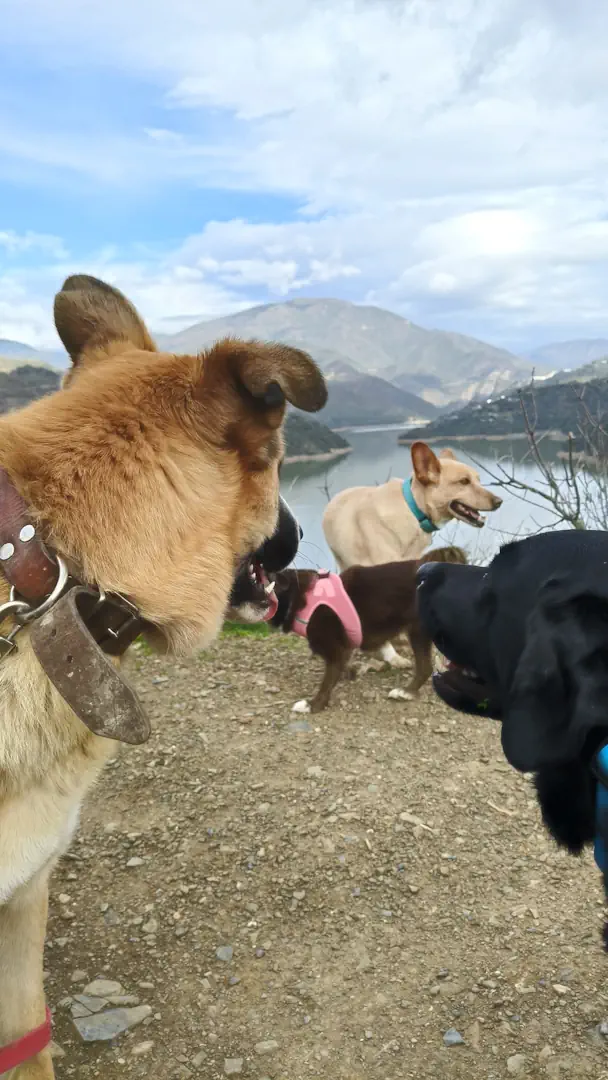 senderismo con perros ruta lago tortugas Marbella