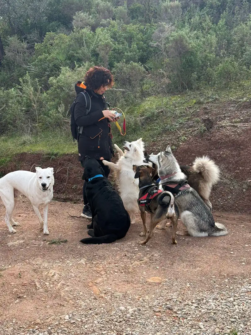 senderismo con perros ruta lago tortugas Marbella