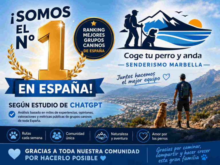 «Coge tu perro y anda», Nº 1 en el ranking de los mejores grupos de senderismo con perros de España