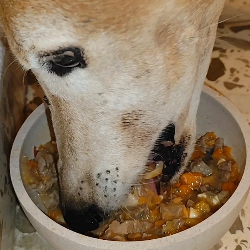 comida natural perros - ternera