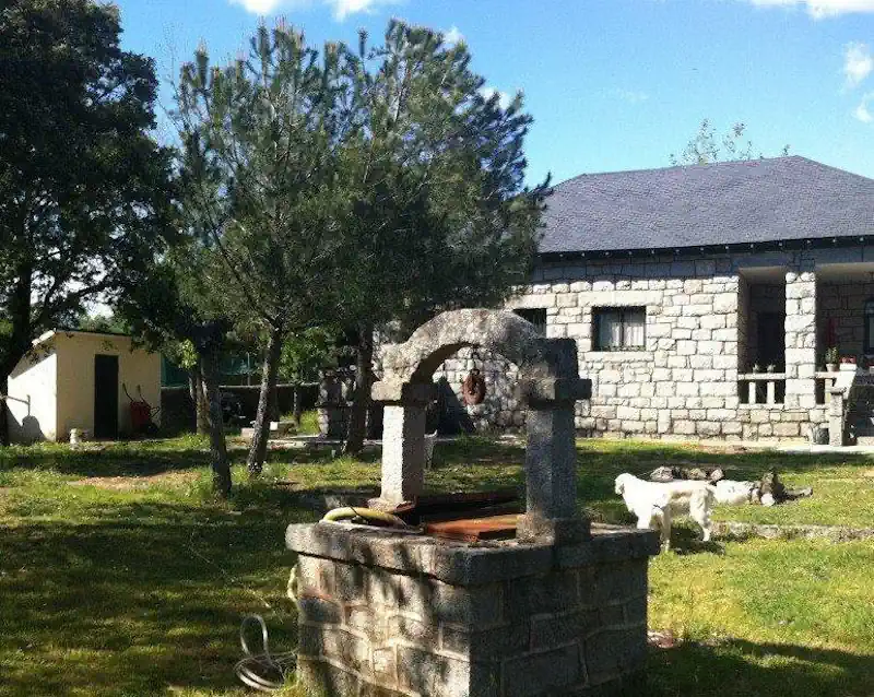 hotel-perros-la serranía
