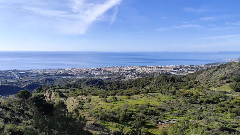 hotel canino perros Marbella