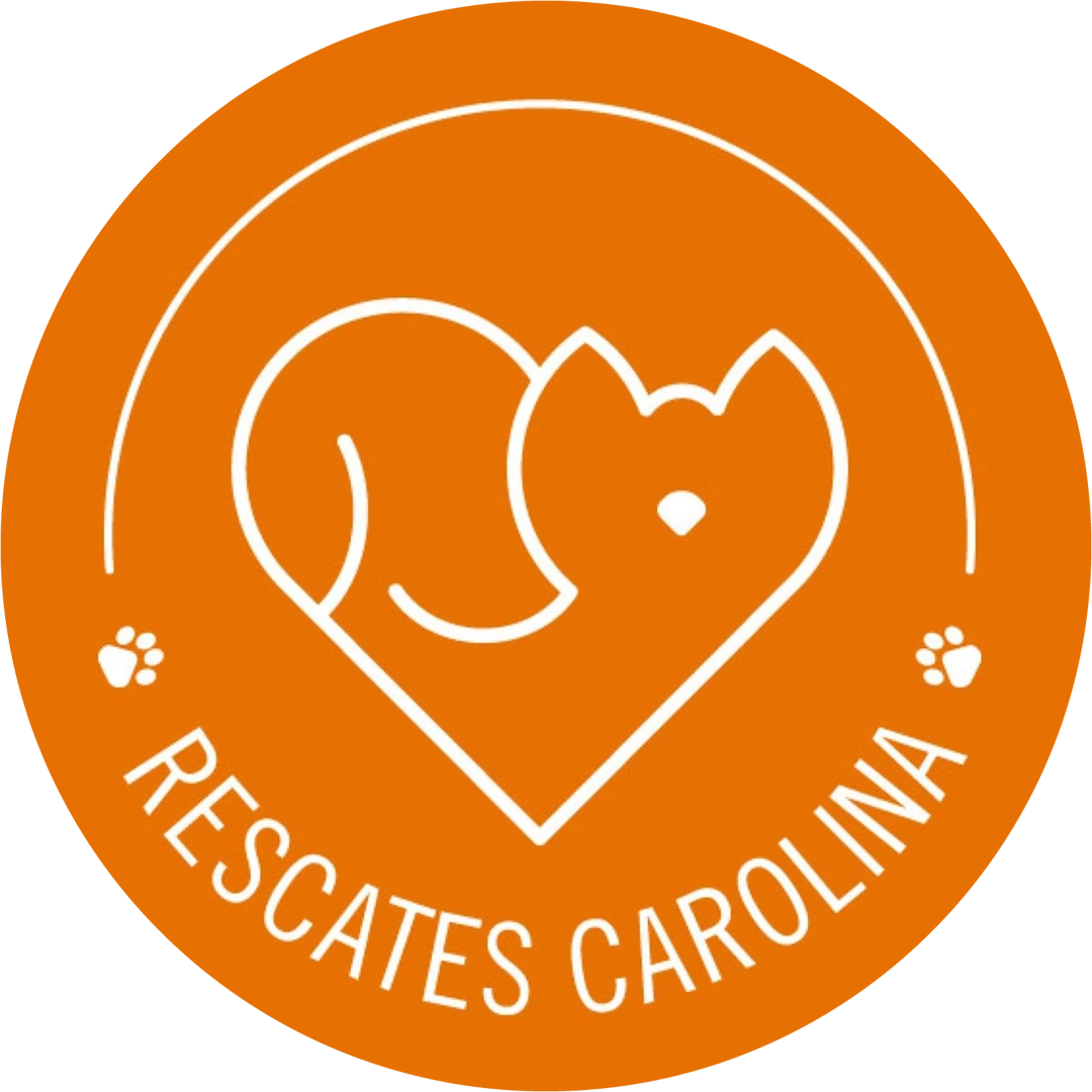 Rescates Carolina - protectora de animales