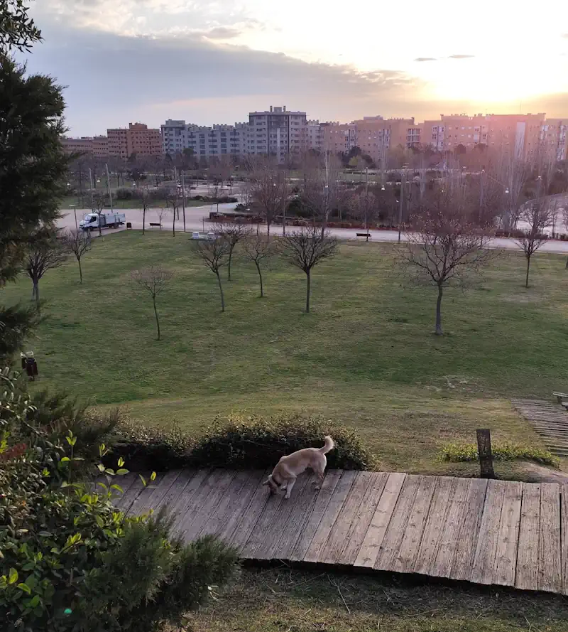 Parque Forestal Valdebernardo - Madrid