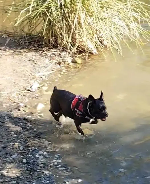 robin-senderismo-acequia guadalmina - Benahavis