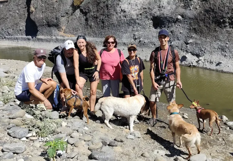 Septiembre/2025 – Jornada Senderismo con perros: ruta Sendero Acequia Guadalmina (Benahavís)