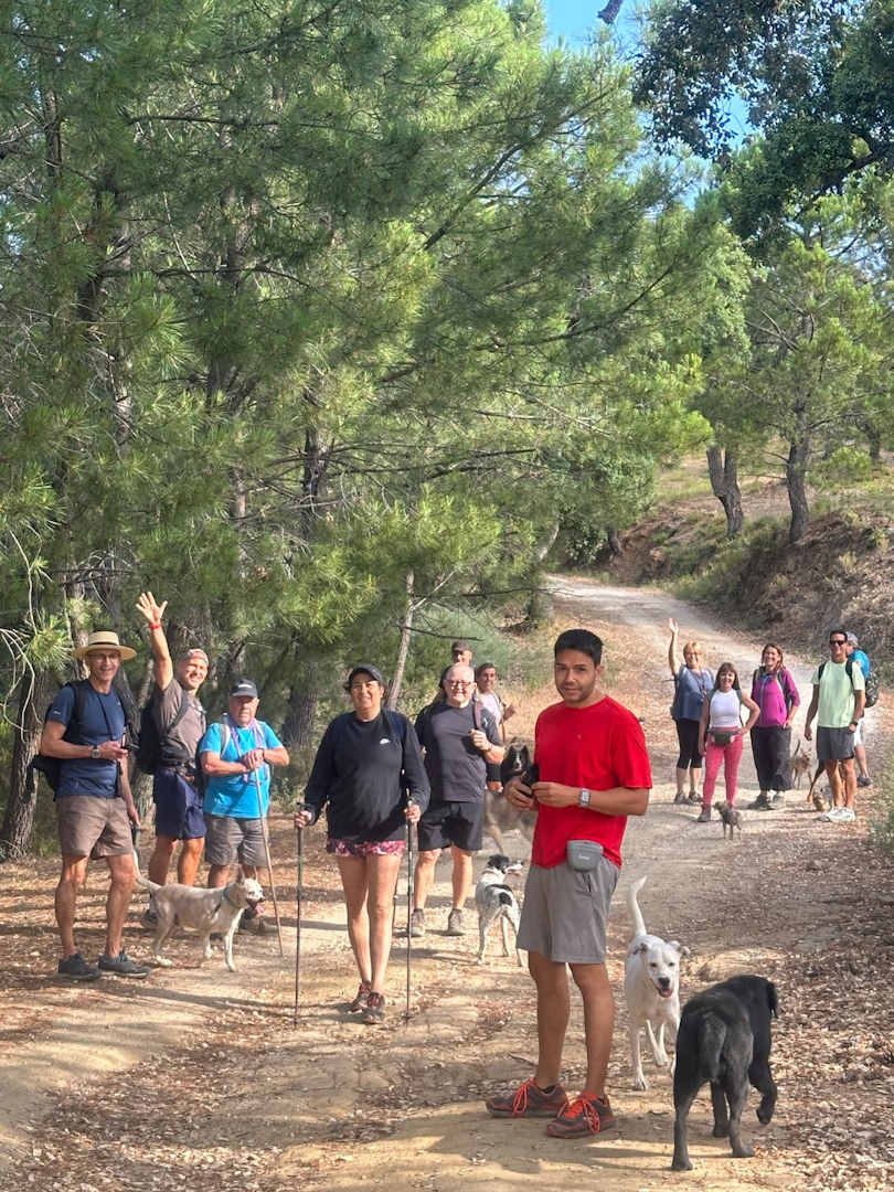 Grupo de senderismo canino de Marbella Coge tu perro y anda junto al Castaño Santo