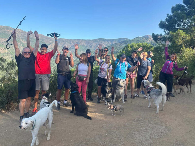 Junio/2026 – Jornada de senderismo canino en Marbella: una aventura hasta el Castaño Santo con “Coge tu perro y anda”