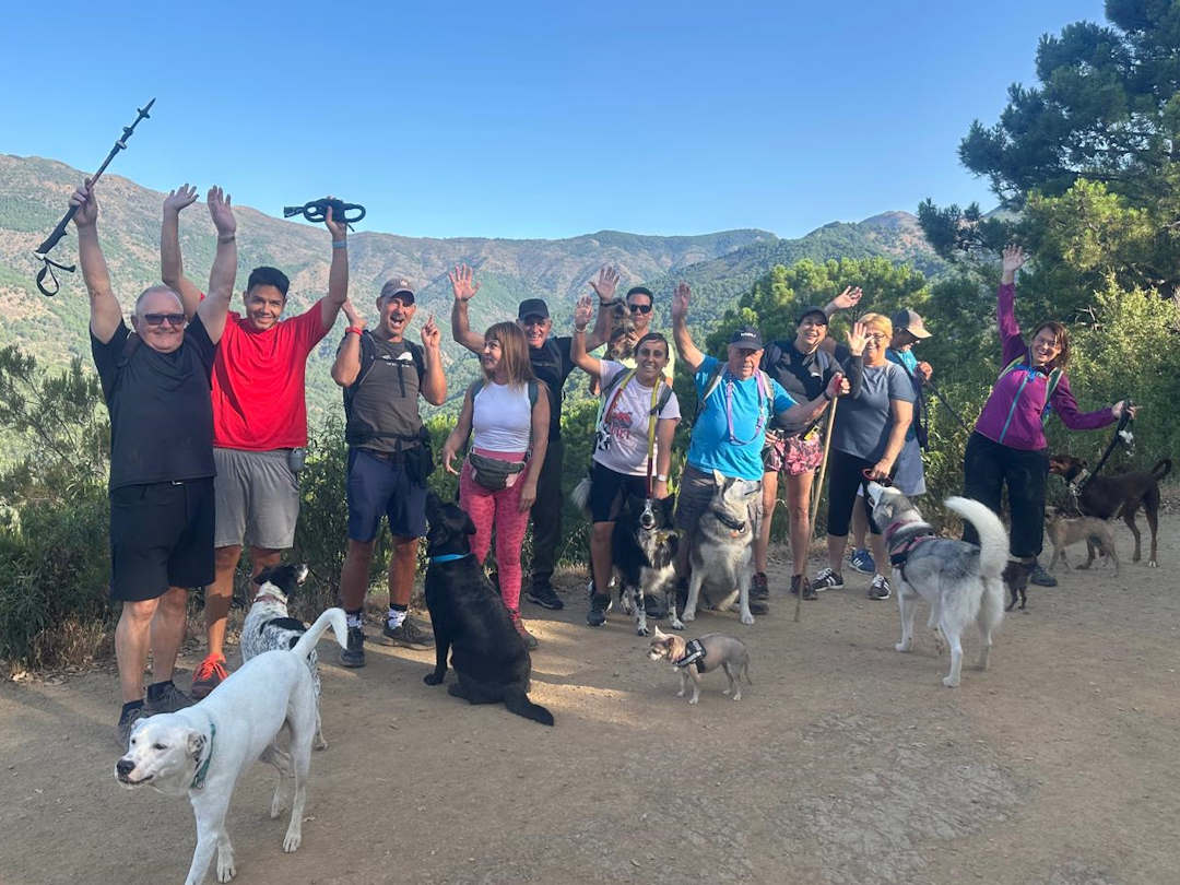 Grupo de senderismo canino de Marbella Coge tu perro y anda junto al Castaño Santo
