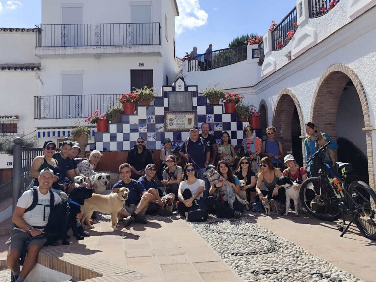Mayo/2026 – Jornada de senderismo con perros Mayo en Istán: naturaleza, agua y buenas vistas con “Coge tu perro y anda”