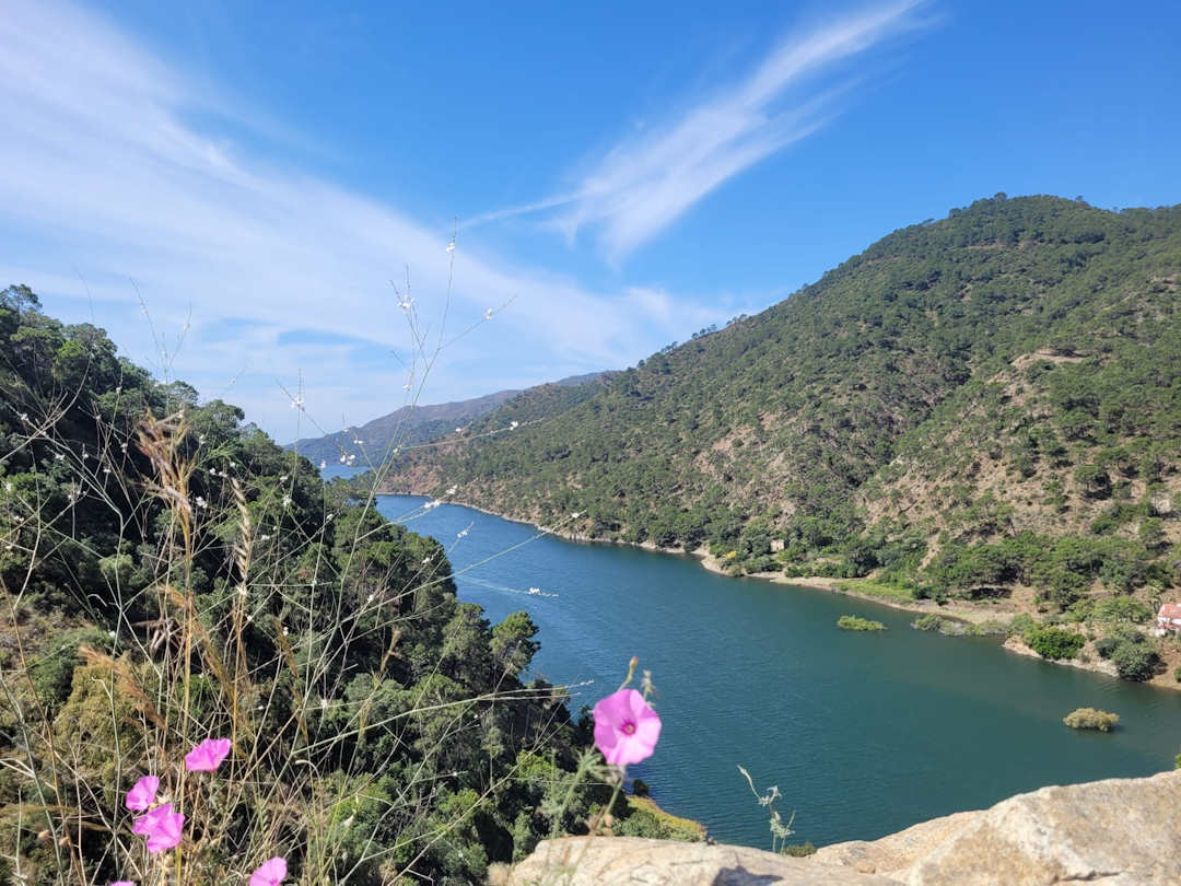 senderismo con perros istán rio molinos ermita san miguel