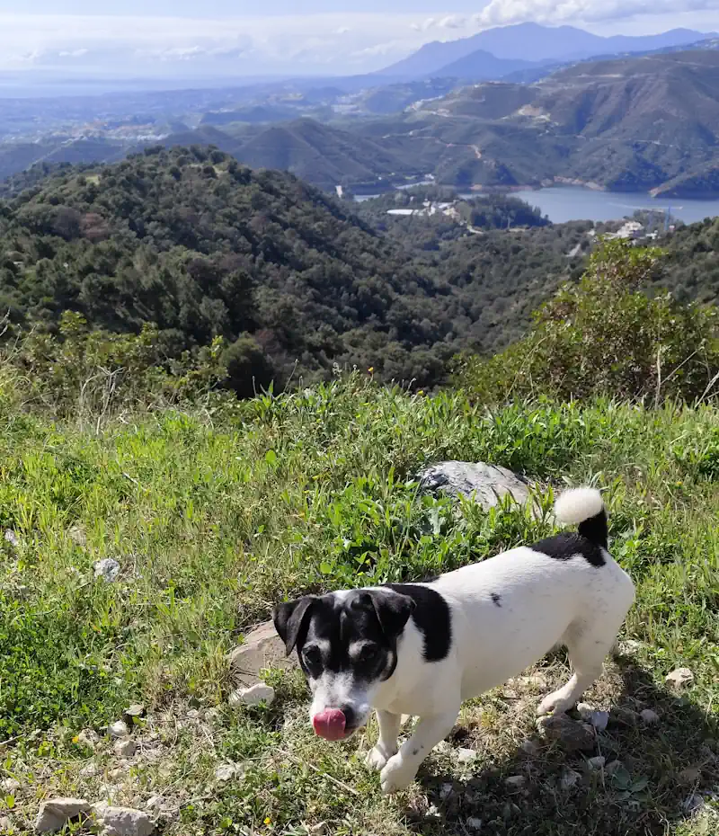 senderismo guardería canina marbella