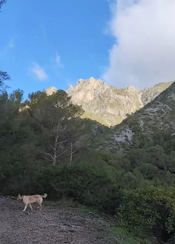 senderismo-marbella-la concha