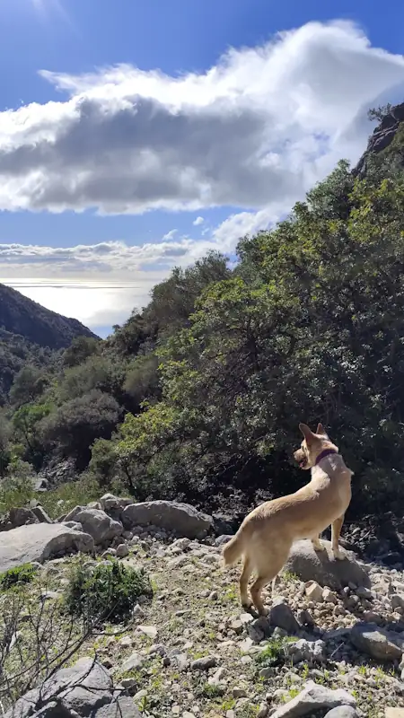 senderismo-marbella-la concha