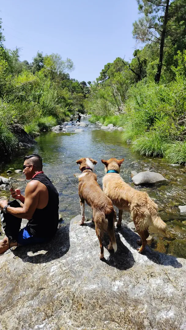 senderismo perro charco canalón istán