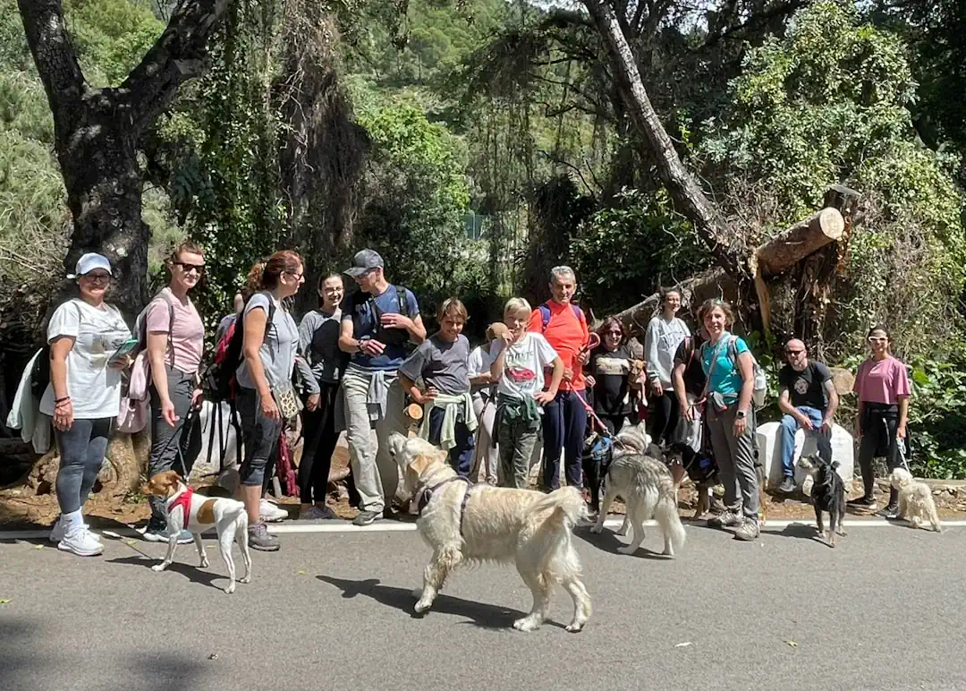 senderismo-perros-marbella