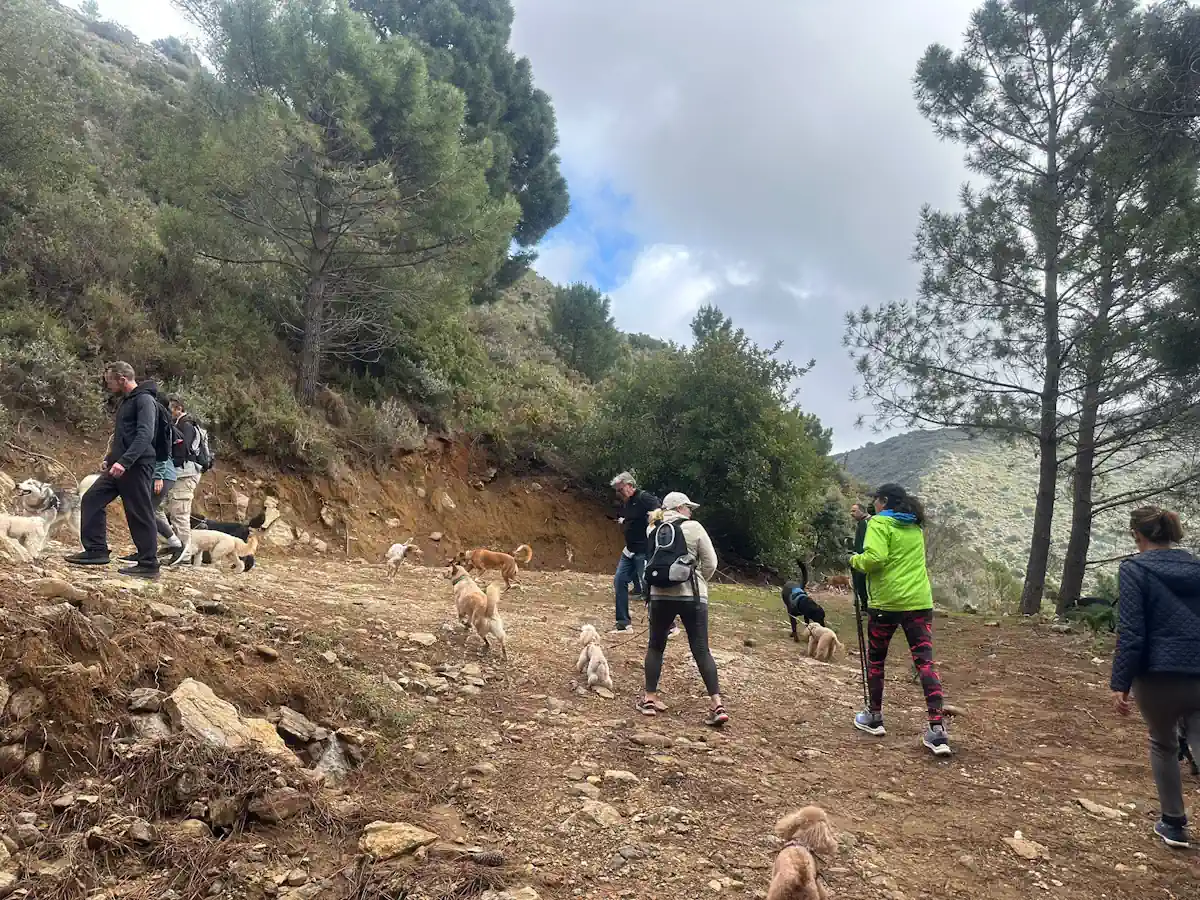 Senderismo con perros - Juanar - El Pozuelo - Pinsapar - Marbella