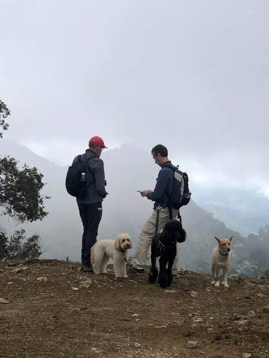 Senderismo con perros - Juanar - El Pozuelo - Pinsapar - Marbella